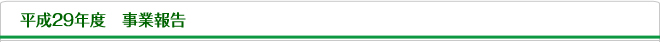 平成29年度事業報告